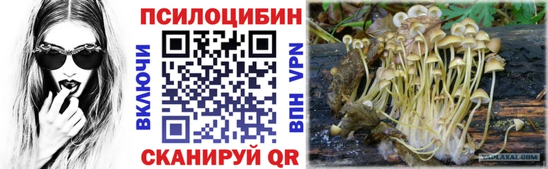 купить закладку  Кимры  Псилоцибиновые грибы мицелий 