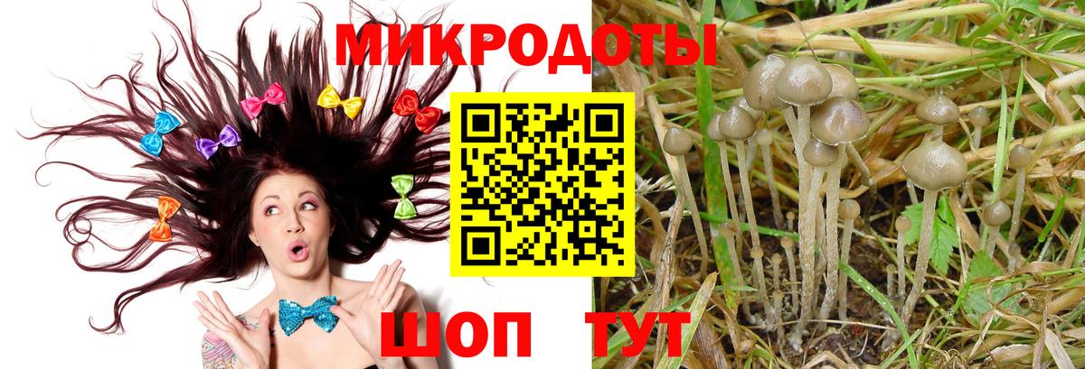 Галлюциногенные грибы Psilocybine cubensis  Вход с VPN  Кимры 